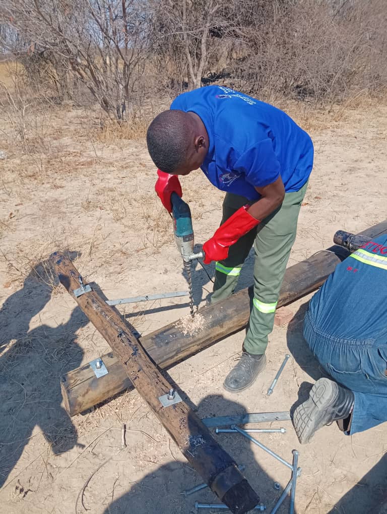 WhatsApp Image 2024-11-14 at 11.37.37.jpeg